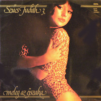 Judith Szűcs - a vinyl record called gay az night