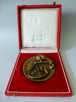 Településfejlesztésért bronz plakett,kitüntetés. hazafias Népfront