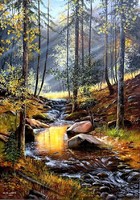 ÁR ALATT Dabronaki Fenyves patak vízeséssel 70x50cm + keret