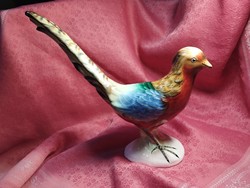 Pheasant, nipp, ornament