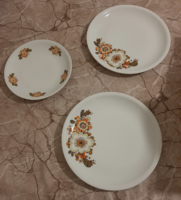 Alföldi icu patterned plates