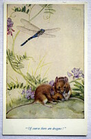 Régi Noel Hopking grafikus képeslap  egerek szitakötő