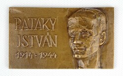 1N055 Pataky István mártír forradalmár bronzplakett emlékplakett