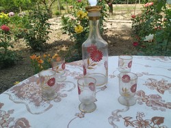Glass, red floral drink set for sale! Retro drink set