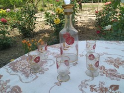 Red Flower Pattern Glass Drink Set for Sale! Retro Drinkware Set