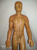 Vintage SEIRIN 66 cm orvosi természetgyógyászati  akupunktúrás pontok férfi bábú üreges gumi szobor