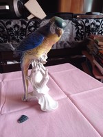 Extremely rare ens parrot, 25 cm tall with freshly damaged wingtips