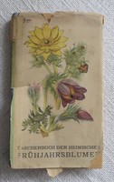 Spring flowers, pocket book, 1953, fritz koch, taschenbuch der heimischen frühjahrsblumen