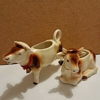 Goebel cows