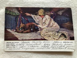 Antik, régi képeslap  - " Leány Rókával "                            -6.