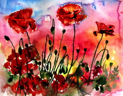 Poppies at sunset - watercolor painting / pipacsok a naplementében - akvarell festmény