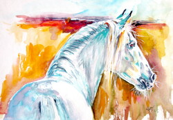 Andalusian horse III - watercolor painting / andalúz ló III - akvarell festmény