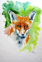 Red fox portrait - watercolor painting / róka portré - akvarell festmény