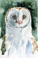 Barn owl portrait - watercolor painting / gyöngybagoly portré - akvarell festmény
