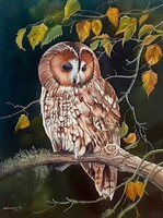 Dabronaki owl 40x30cm oil on canvas painting