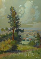 Clauder margit: lonely pine above the city