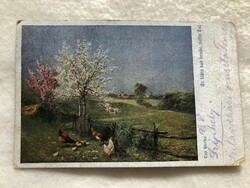 Antik, régi képeslap                       -6.