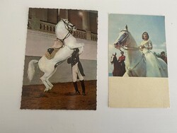 White horse, romance, love, beautiful lady, gentleman, horse, rider, animal, antique fashion, clothing, circus