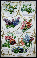 Antik szecessziós dombornyomott üdvözlő képeslap virág/érzelem határozó
