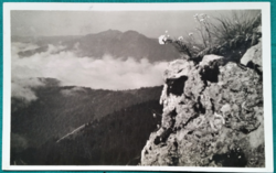 Carpathians, Máramar county, printed postcard, 1943