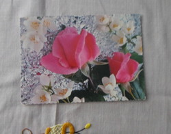 Old Yugoslav postcard: rose, flowers