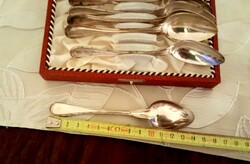 6 tea spoons kept in a display case in a box.