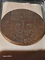 Bronze commemorative plaque for worthy worker of Élésker