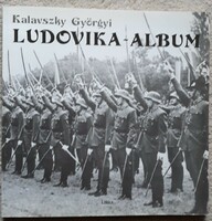 Kalavszky Ludovika - album - magyar nyelvű szakkönyv