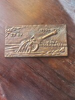 Antik katonai bronz plakett
