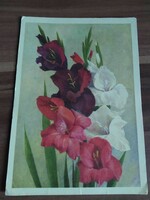 Old Russian floral postcard, gladiolus, circa 1960s