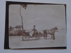 ZA275.37  Uradalmi hintó -lovakkal, kocsissal - 1890k Dr. Kuncz Jenő  Temesvár Budapest