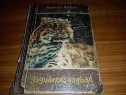 Molnár Gábor - Jaguárországban könyv