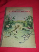 1951.Antik ann siebert - the picture book of the frog German language children's informative picture according to pictures