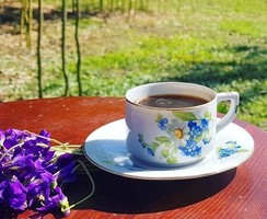 Drasche bájos kávés csésze szett