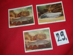Antik 1930 gyűjthető VEGYES cigaretta reklámkártyák HALAK egyben 29.