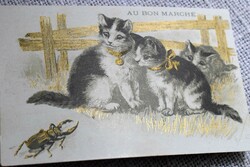 Antique graphic litho non-postcard / stag beetle and kittens - reverse side le bon marché store advertisement