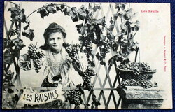 Antique Bergeret photo postcard with little girl grapes