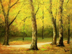 Special price! Lute pearl: sycamore trees in the sun 30x40 cm