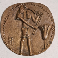 1981. Nemzetközi Gyógyszerésztörténeti Kongresszus, Bronz emlék érem,  plakett