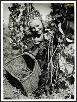 Larger size, photo art work by István Szendrő. Harvest, young girl with basket, grapes, farmer