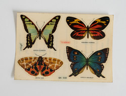 Retro matricák - 1 db ív pillangókkal, lepkékkel - csempematrica, szekrénymatrica