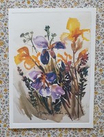 Unicef postcard greeting card greeting card mail clear iris flower