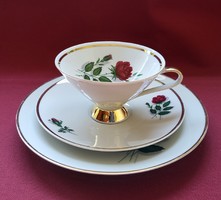 Mitterteich Bavaria német porcelán reggeliző szett csésze csészealj kistányér kávés teás rózsa minta