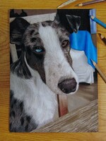 Animal portrait with colored pencil to order