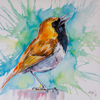 Bird eredeti akvarell festmény