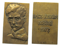 Bajnok Béla: Petőfi Sándor (1823-1849) / Bács-Kiskun Megye 1973
