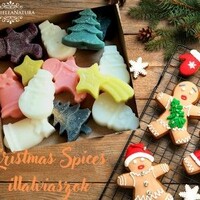 Illatviasz-Christmas Spices