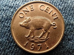 Bermuda II. Erzsébet vaddisznó 1 cent 1971 (id57233)