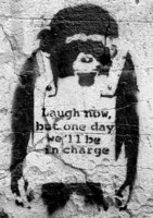 Banksy chimpanzee poster
