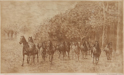Gábor Rádóczy Gyarmathy: horses